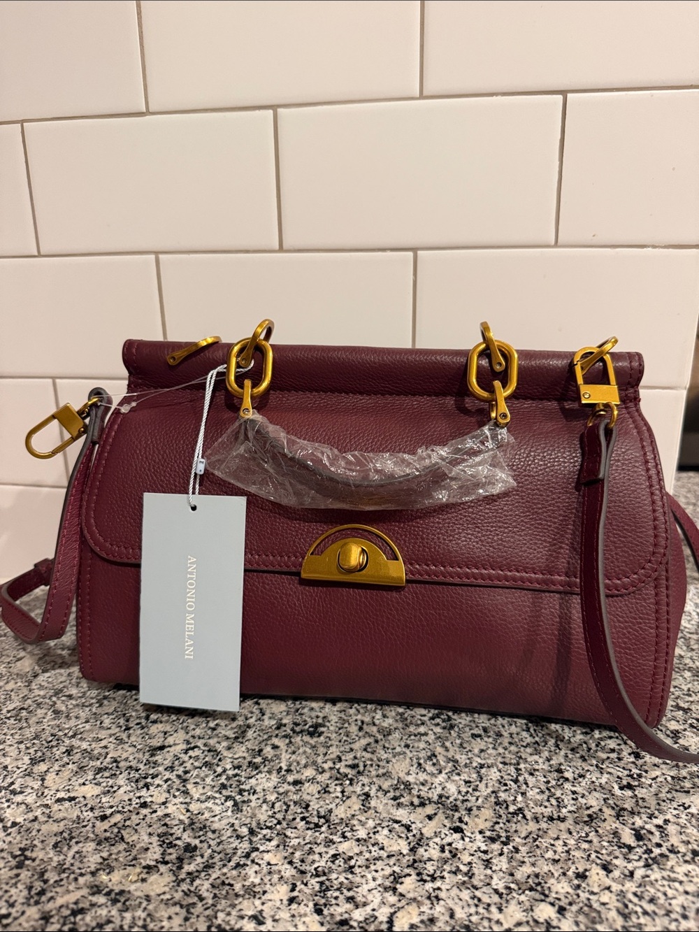 ANTONIO MELANI Leather Satchel Bag | New